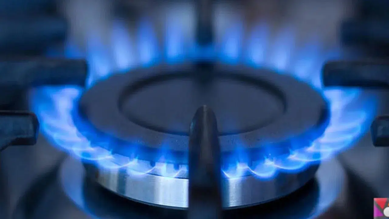 Bakan Bayraktar'tan Doğal Gaz Hedefleri Üzerine Açıklama