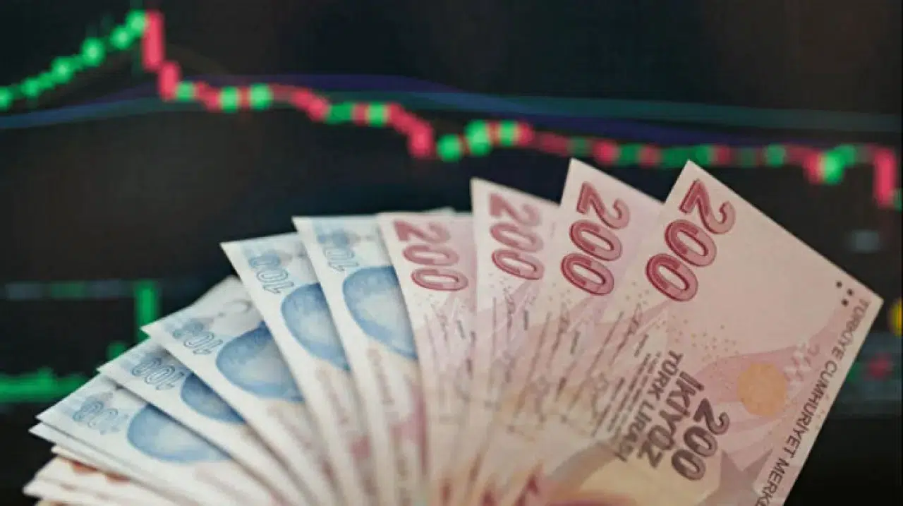 Yeni OVP ile Dezenflasyon Süreci ve Enflasyon Hedefleri