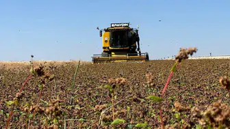 Çiftçilere Destekleme Ödemesi Bugün Gerçekleşecek