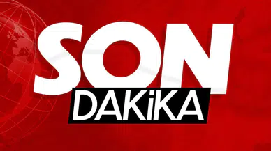 TİGEM, 15 Elit Arap Koşu Tayını Satışa Sunuyor