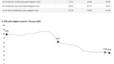 Hizmet Üretici Fiyatları Yükselişte: Temmuz 2025 Verileri Açıklandı
