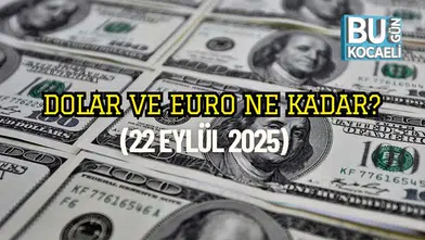 Döviz Kurları Güncel Verilerle Belirlendi