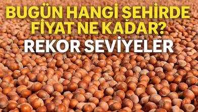 Fındık Fiyatlarında Rekor Seviyeler! Bugün Hangi Şehirde Fiyat Ne Kadar?