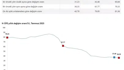 Hizmet Üretici Fiyatları Yükselişte: Temmuz 2025 Verileri Açıklandı