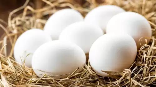 Yumurtada Yeni Dönem! İhracat artık izne tabi: Bakanlık kararı yürürlükte