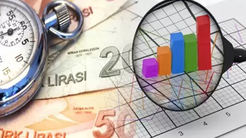 Yapılandırma Nedir? TCMB Anlattı, Borçlu Milyonlar Videoya Akın Etti