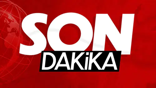 TİGEM, 15 Elit Arap Koşu Tayını Satışa Sunuyor