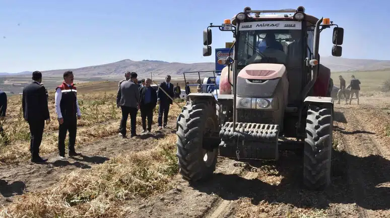 Bitlis’te Kuru Fasulye Hasadında Rekor: 37 Bin Ton Üretim