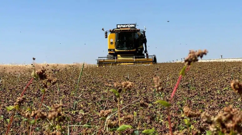 Çiftçilere Destekleme Ödemesi Bugün Gerçekleşecek